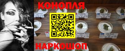 спиды Заводоуковск