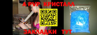 спиды Заводоуковск
