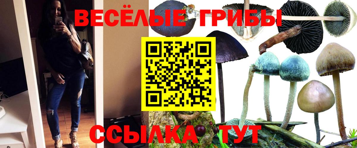 Псилоцибиновые грибы MAGIC MUSHROOMS Евпатория