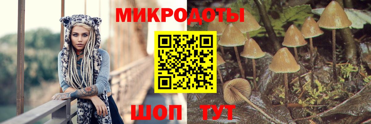 Галлюциногенные грибы GOLDEN TEACHER  Вход с VPN  Галлюциногенные грибы Magic Shrooms  Евпатория 